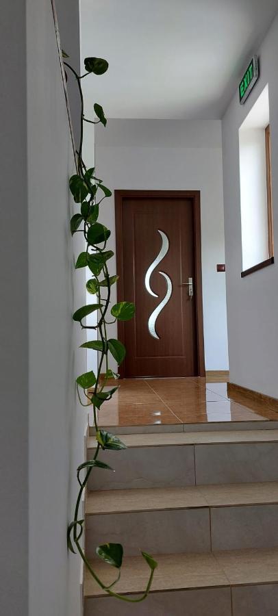 Agropensiunea Olteanu Niculitel 外观 照片
