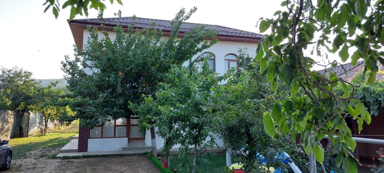 Agropensiunea Olteanu Niculitel 外观 照片